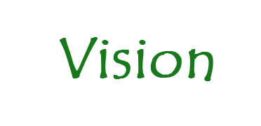 Vision